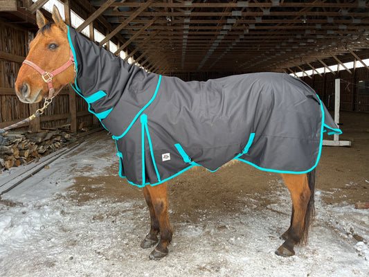 Black with teal trim 50g with detachable neck