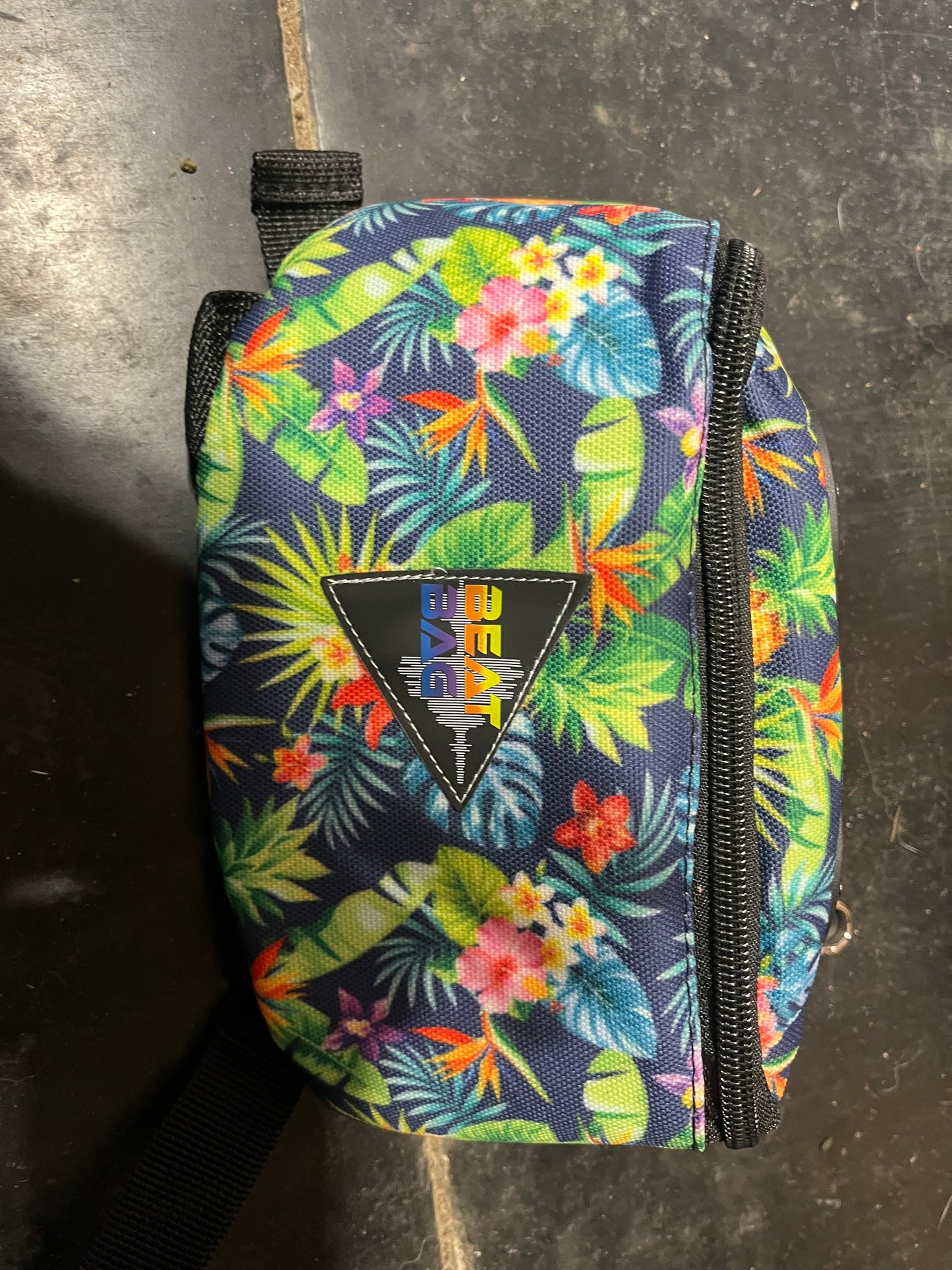 Speaker bag saddle sacs