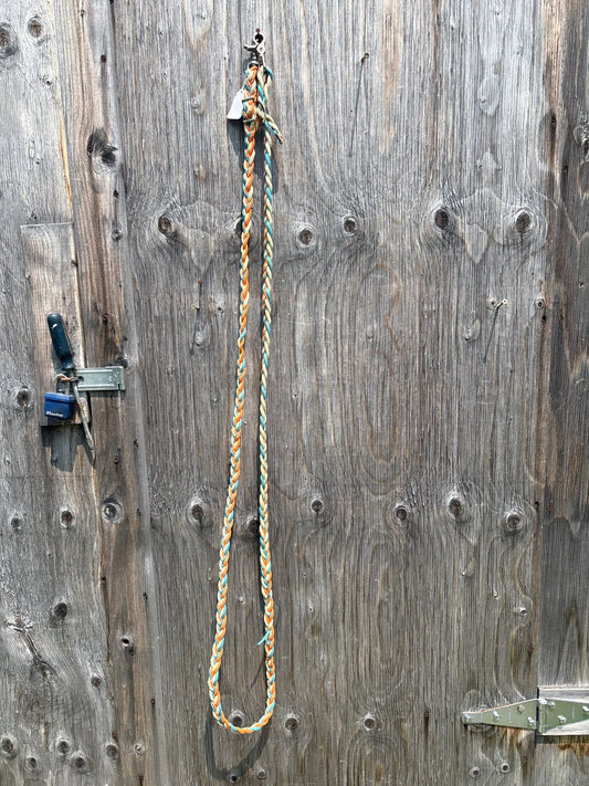 Orange and blue reins with snaps