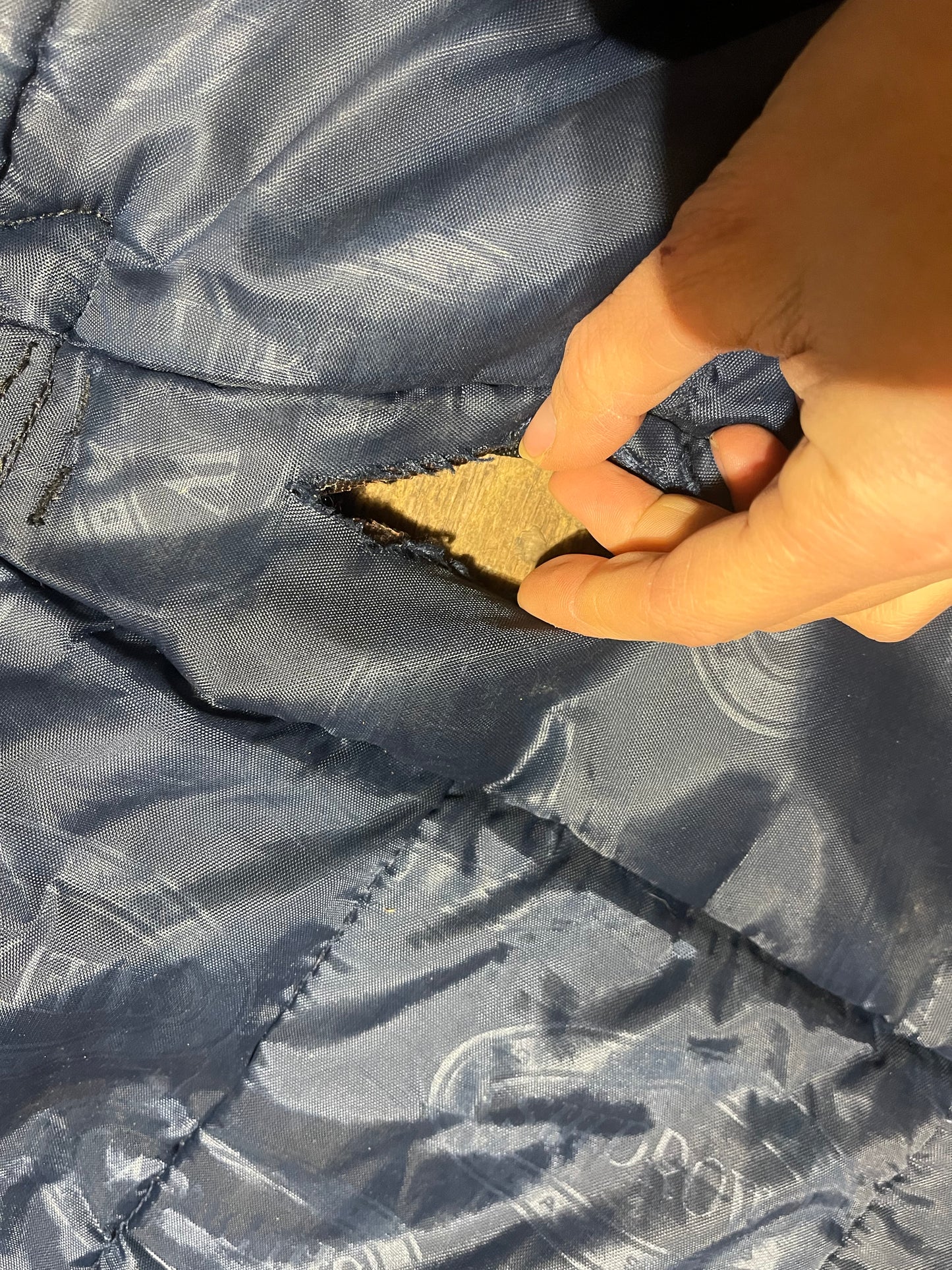 74 shedrow winter turnout