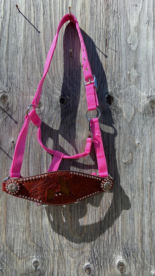 Barrel racer bronc halters with cowhide