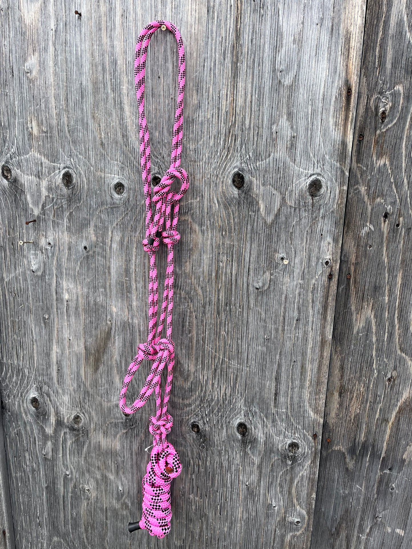 Pink rope halter and lead