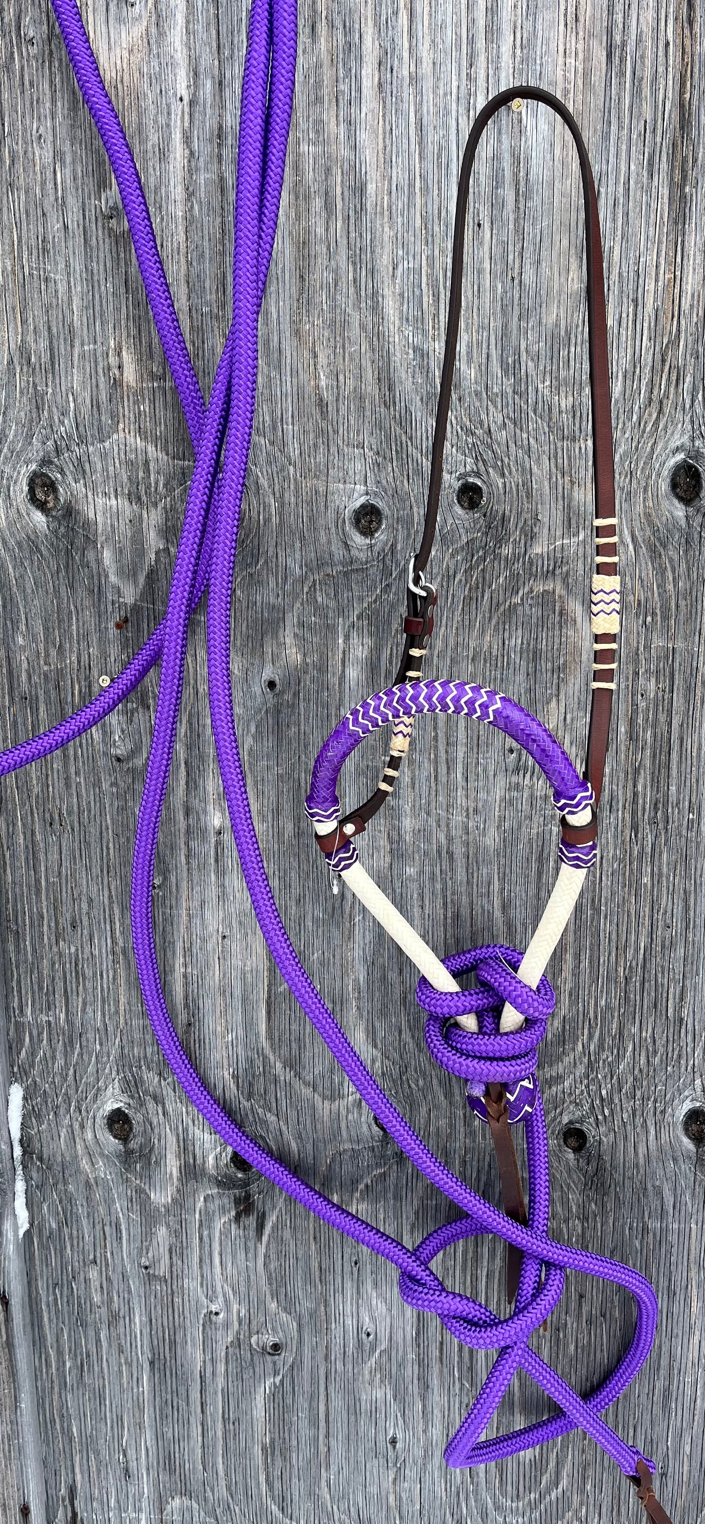 Purple bosal hanger set with mecate