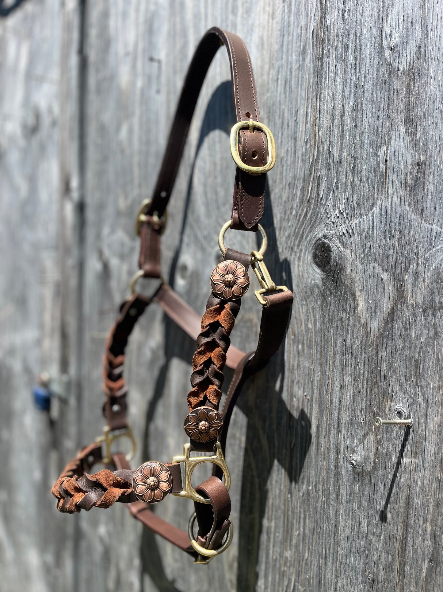 Braided leather halters with flower copper conchos