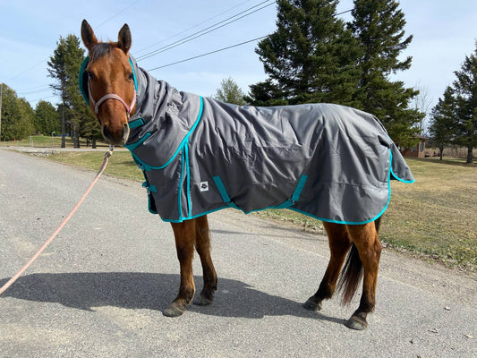 Grey and teal 300 gram winter turnouts with removable hood