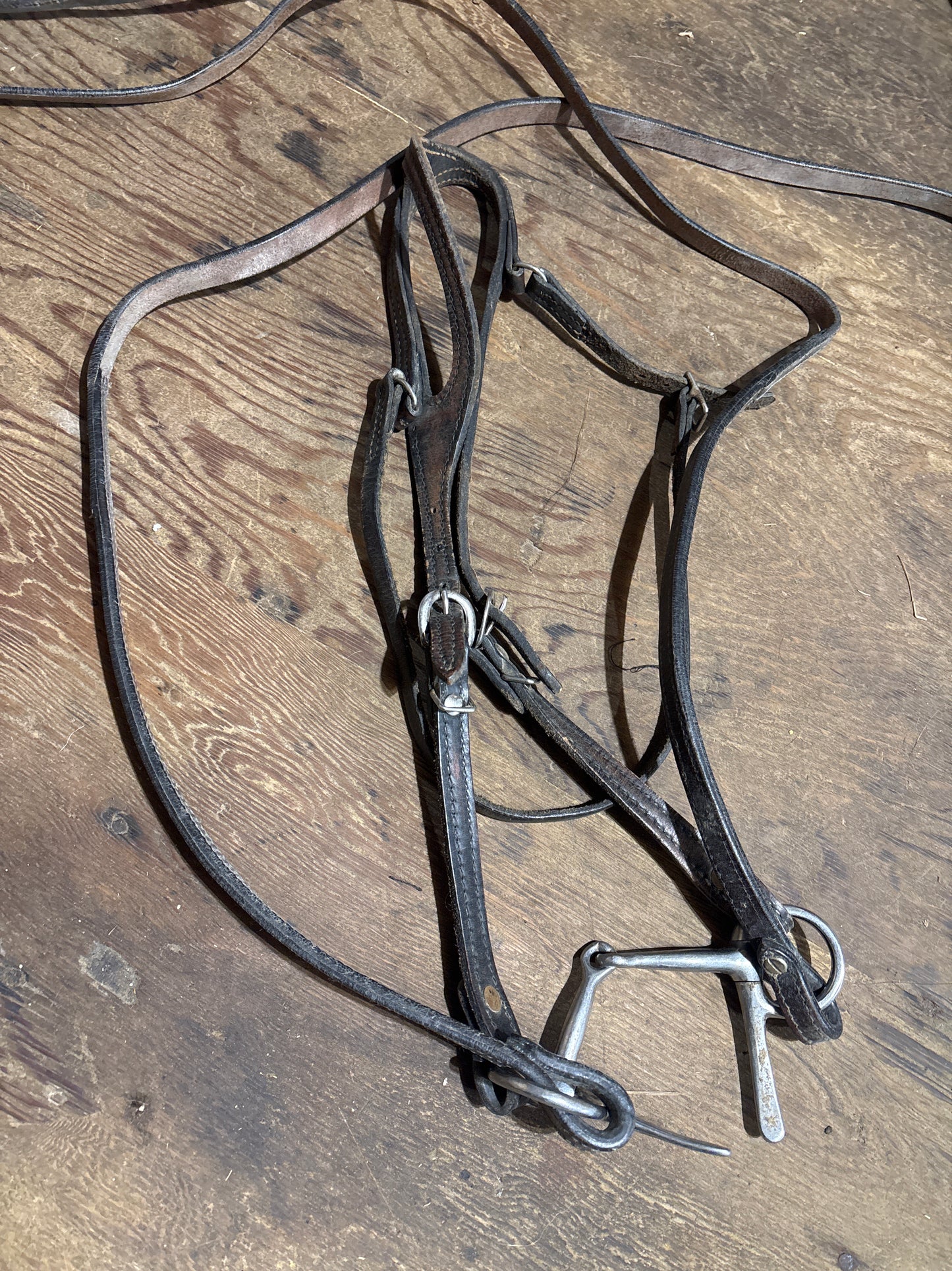 Split ear with reins will need oil
