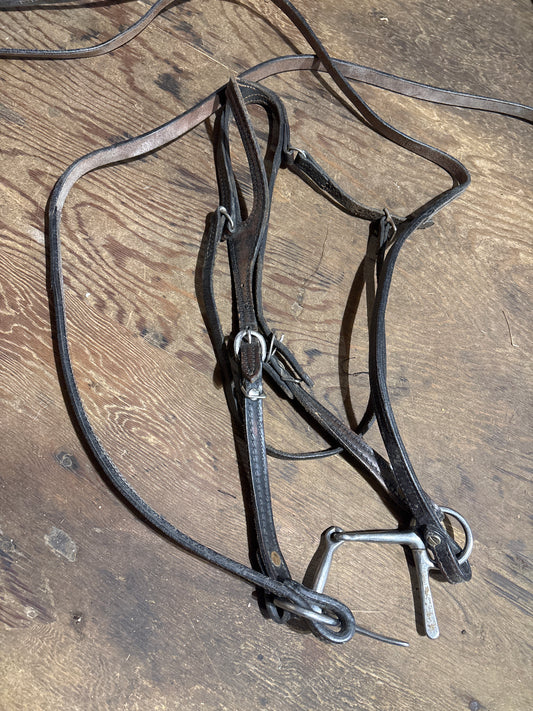 Split ear with reins will need oil