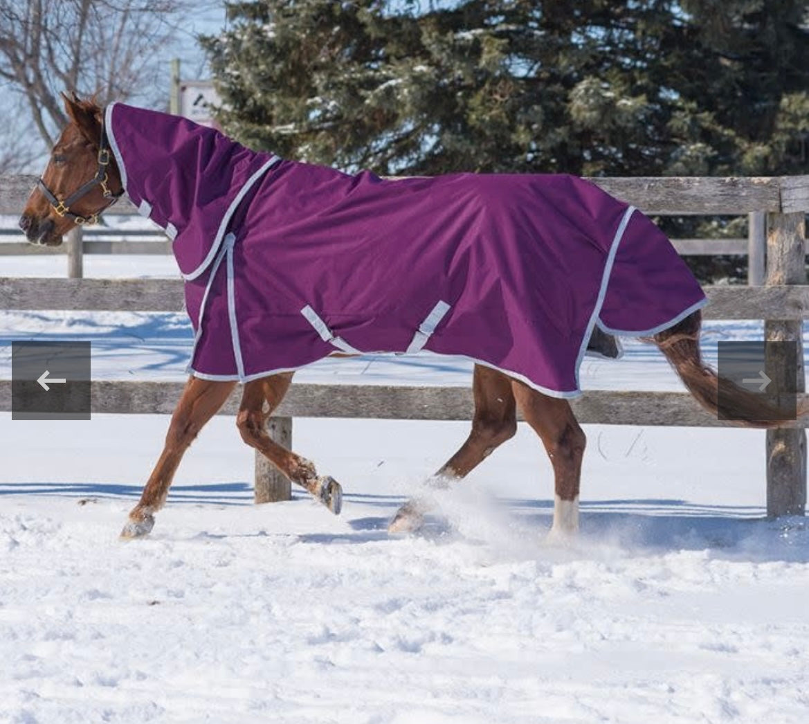 Plum diablo rainsheet with hood