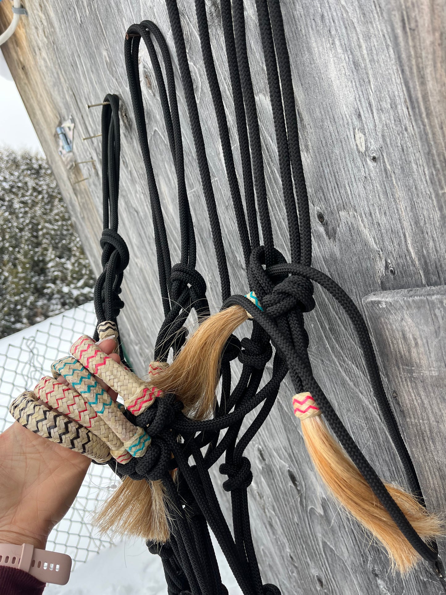 Rawhide nose rope halters with matching lead brand new