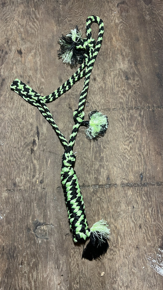 Mint green Muletape halter with lead