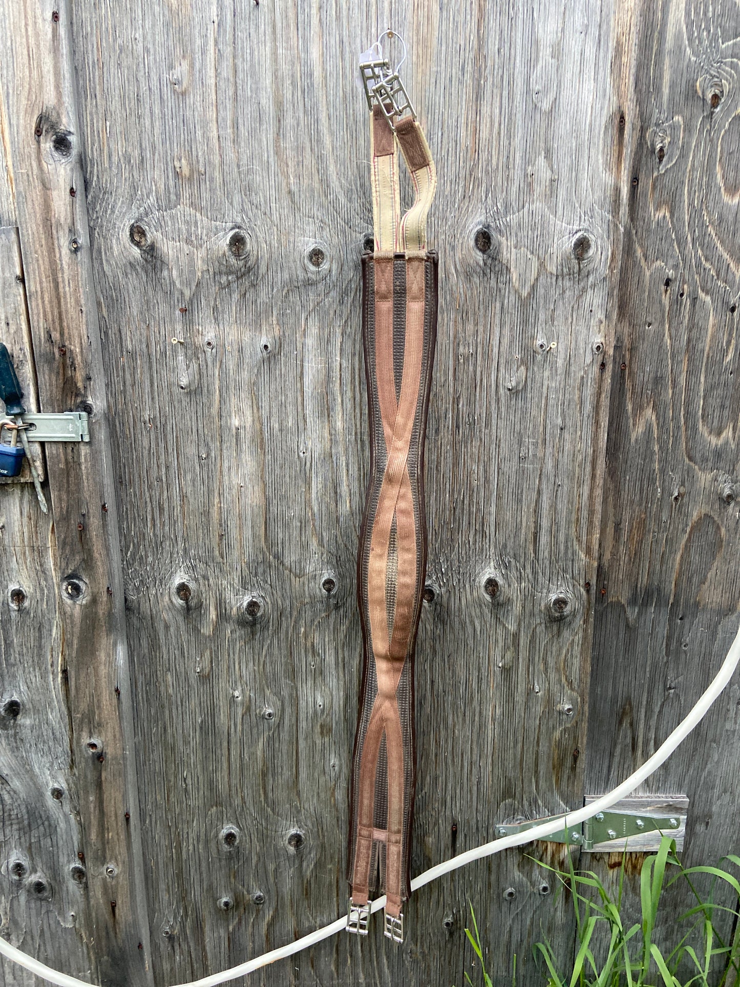 50” girth