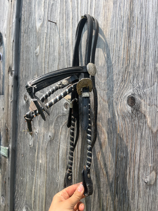 2 browband headstall