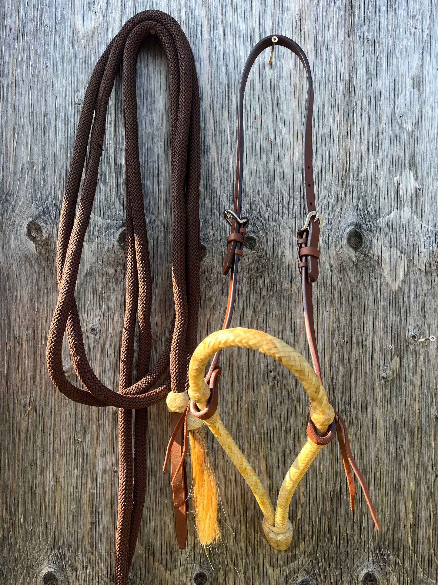 Oiled leather bosal set with mecate reins