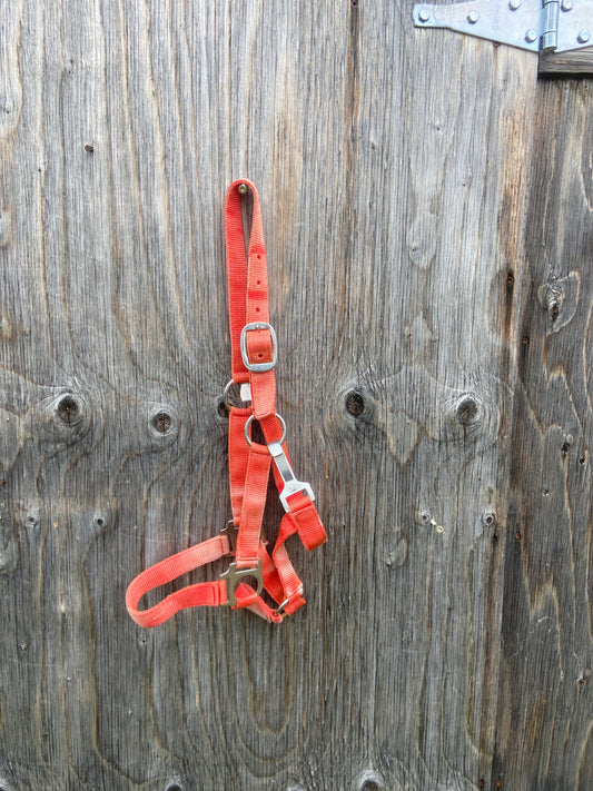 Lightly used full halter