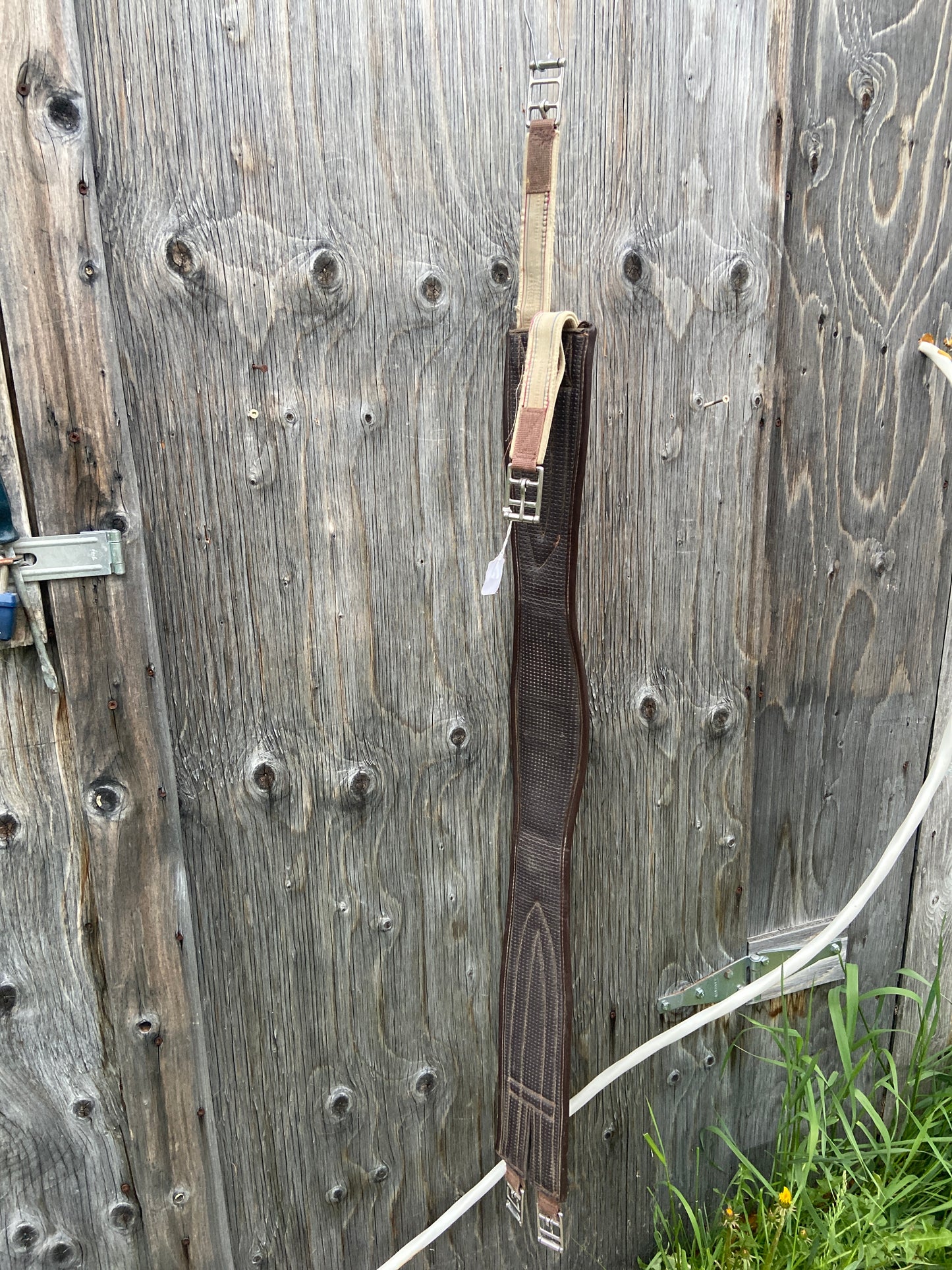 50” girth
