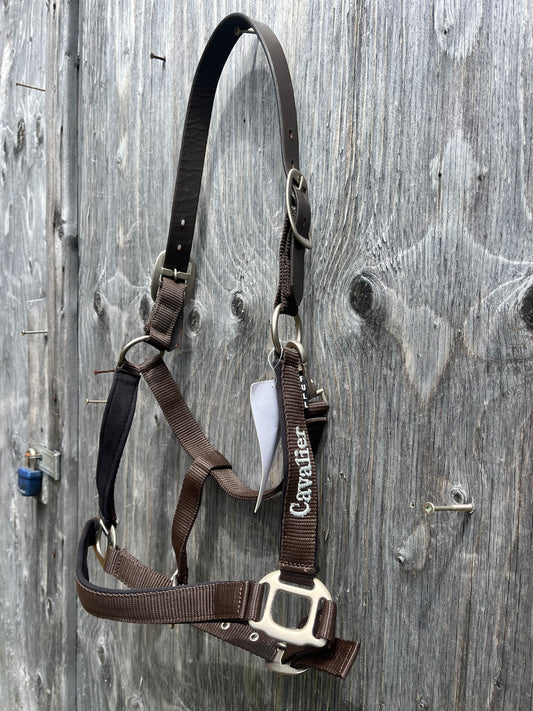 Chocolate padded breakaway halter