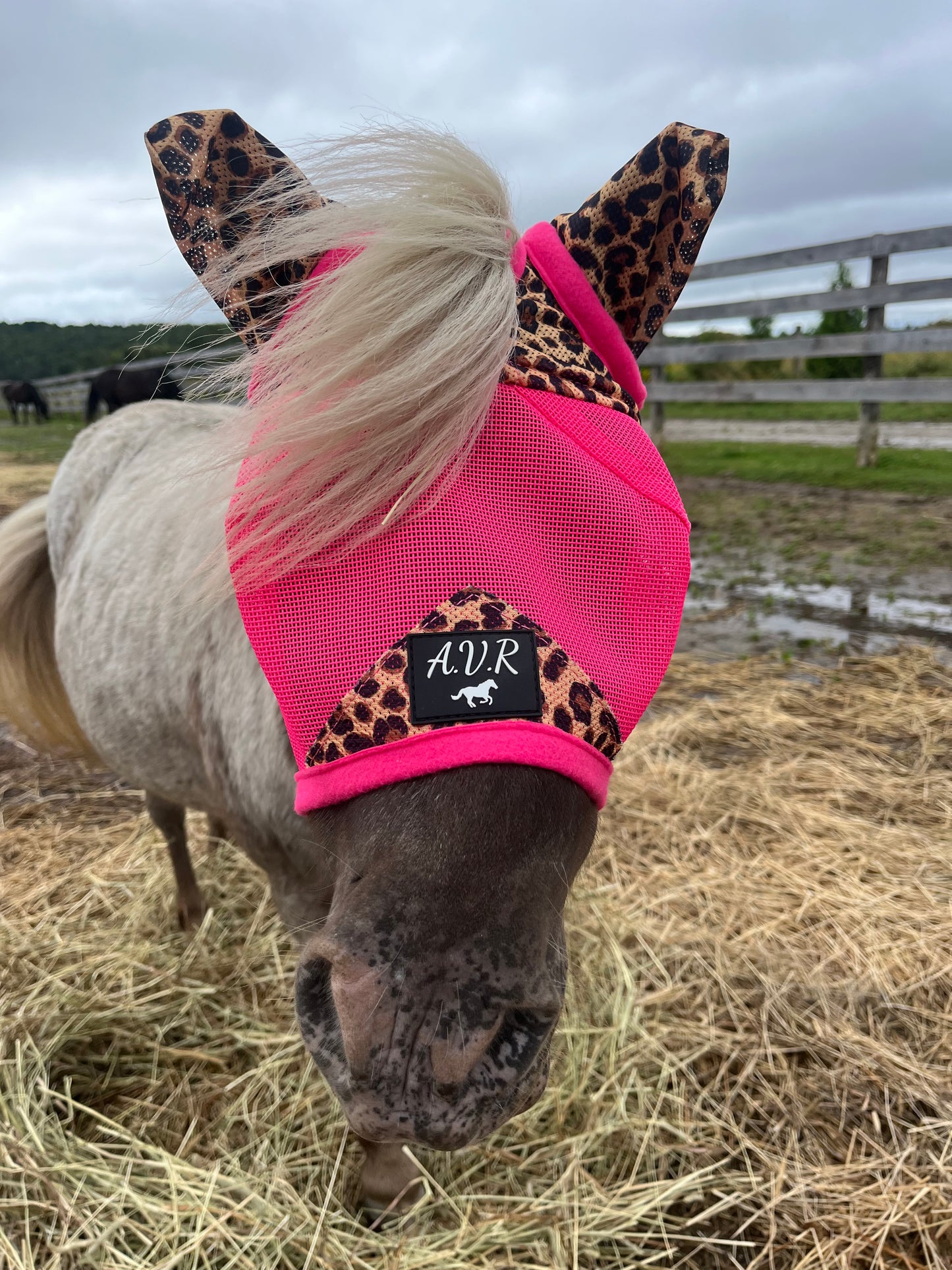 Pink Cheetah durable Mesh Fly masks ears