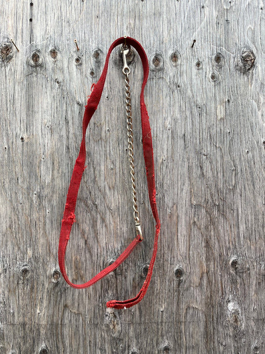 Red nylon lead with chain