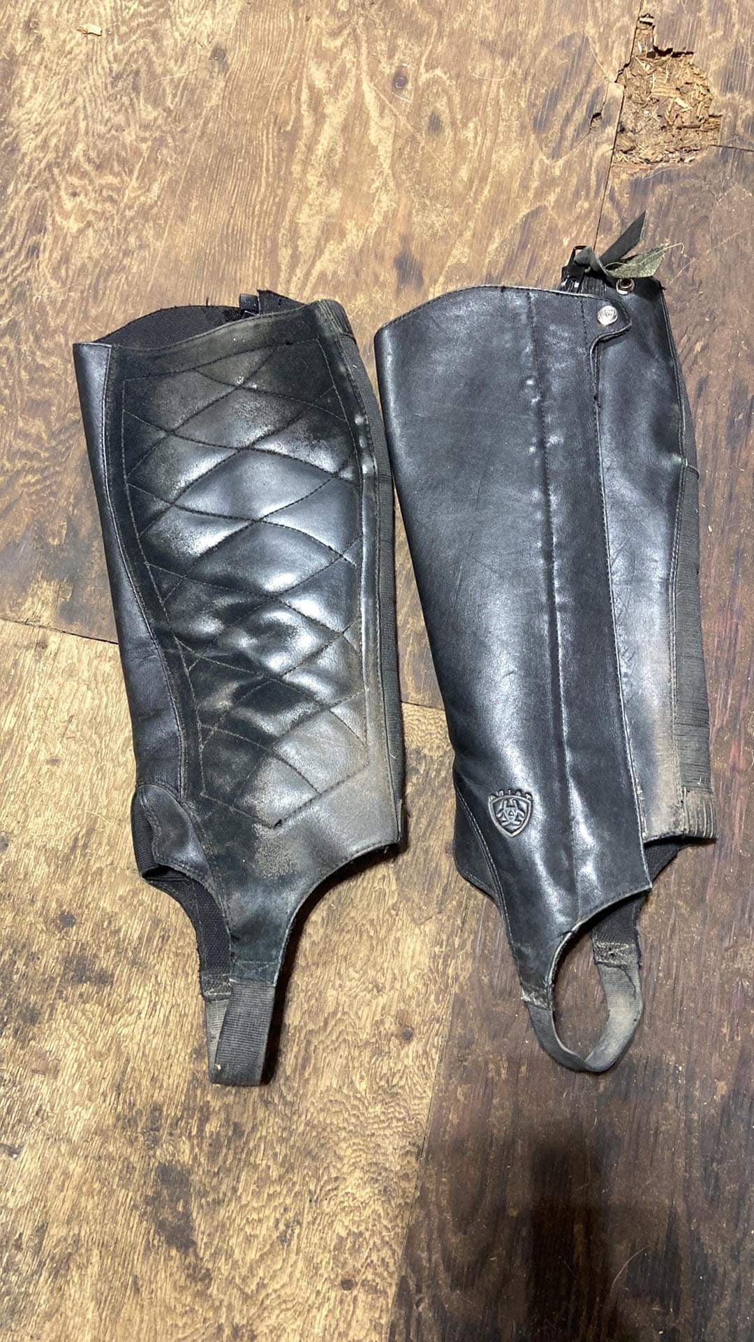 Ariat classic half chaps used