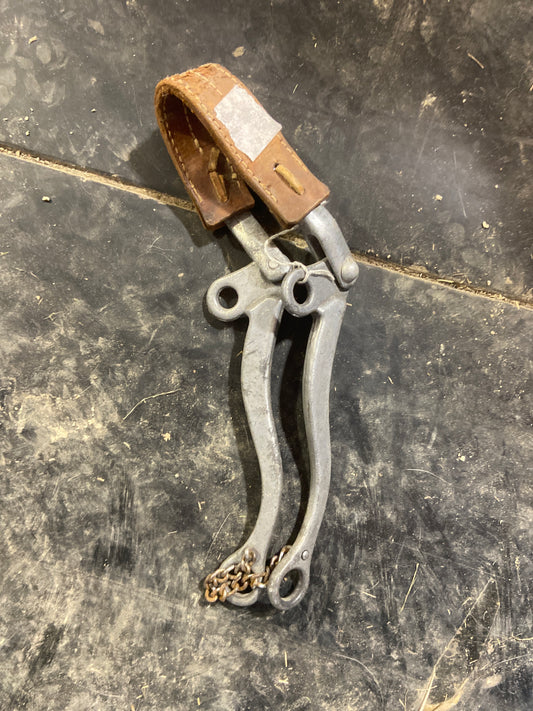 Hackamore