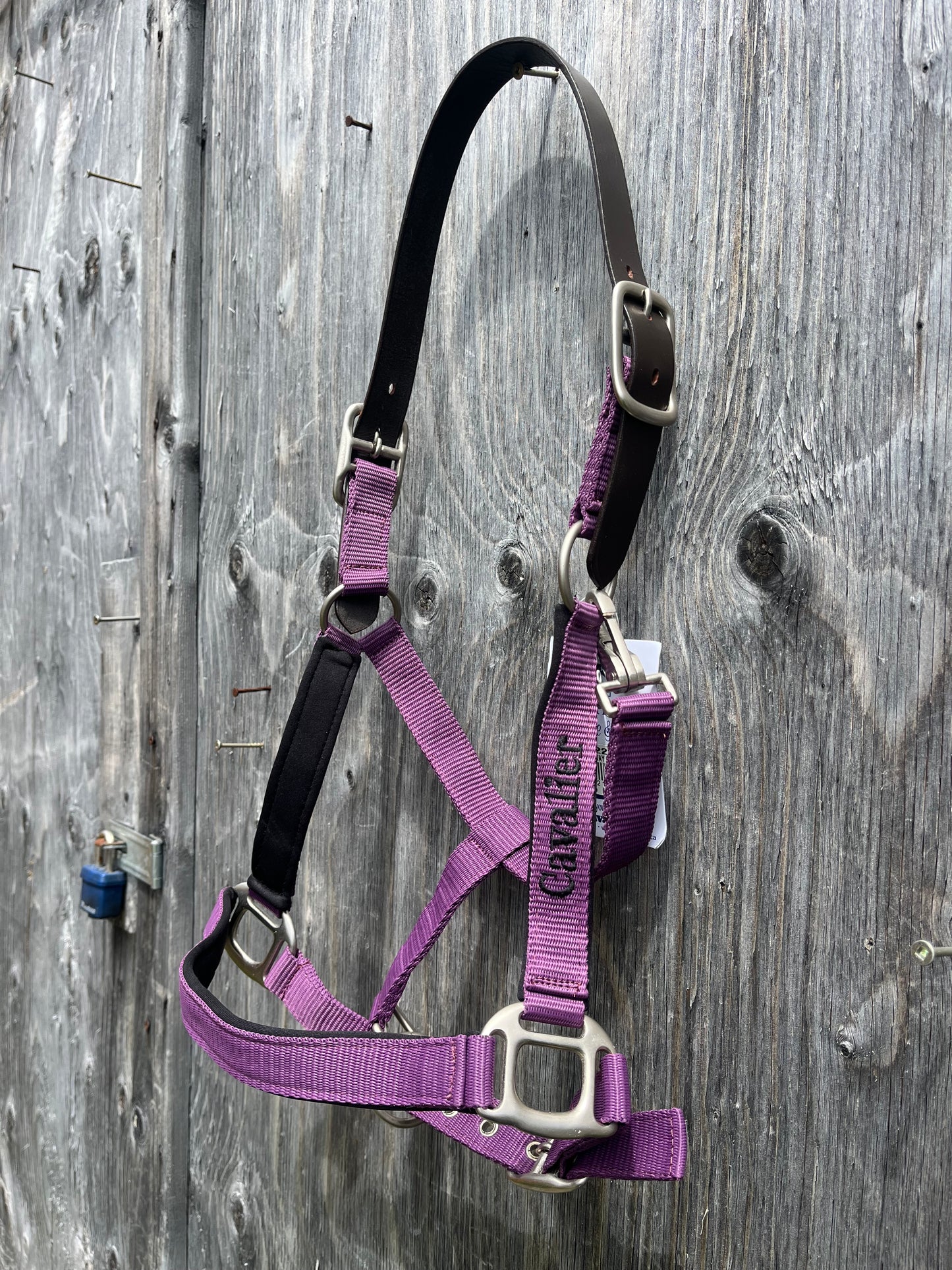 Purple Cob size breakaway halter padded