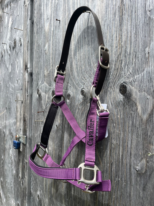 Purple Cob size breakaway halter padded