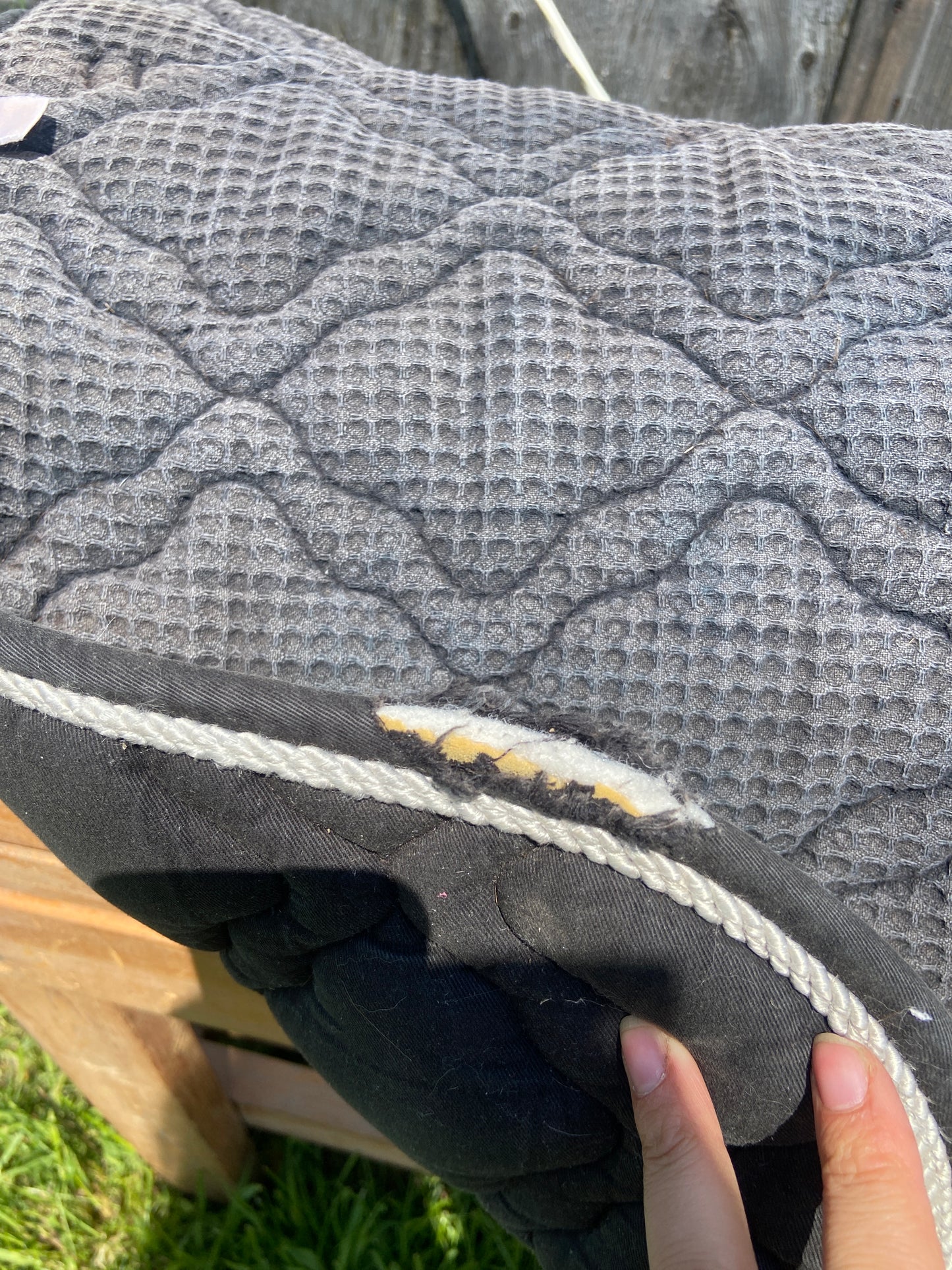 Isabelle werth black pad has rip