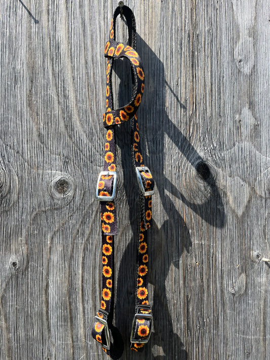 Sunflower quick change nylon headstall