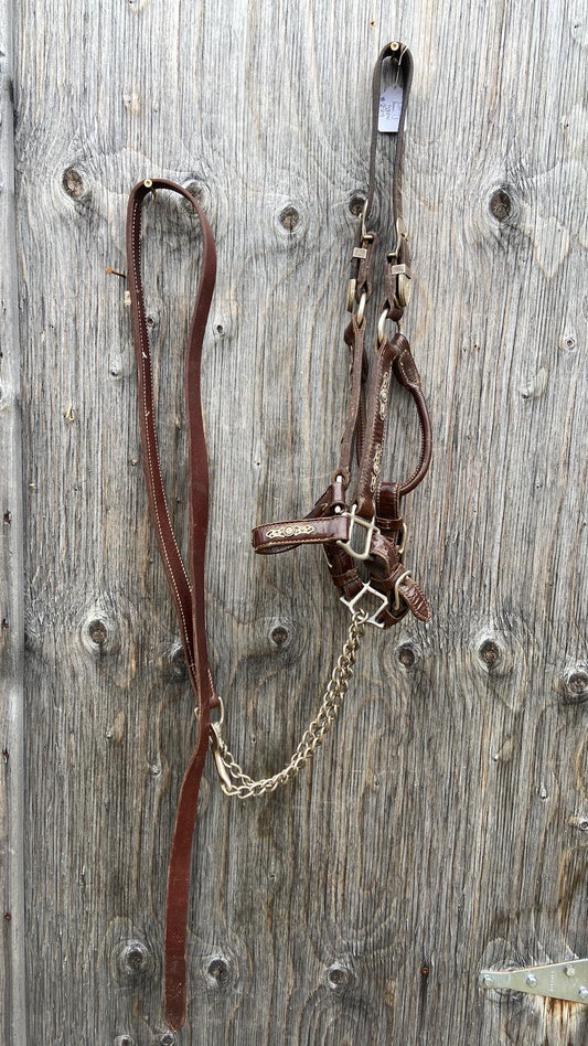 Cob size patent leather show halter with lead
