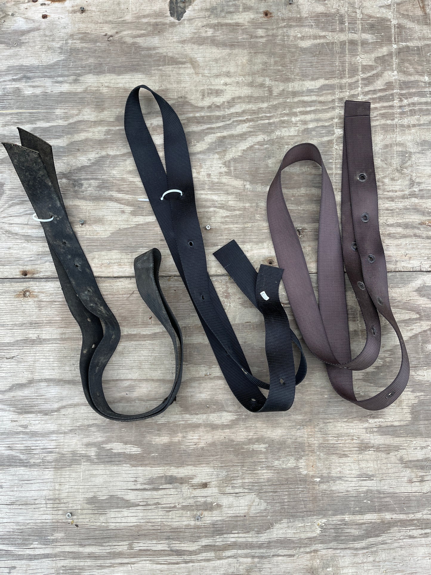 Nylon western straps