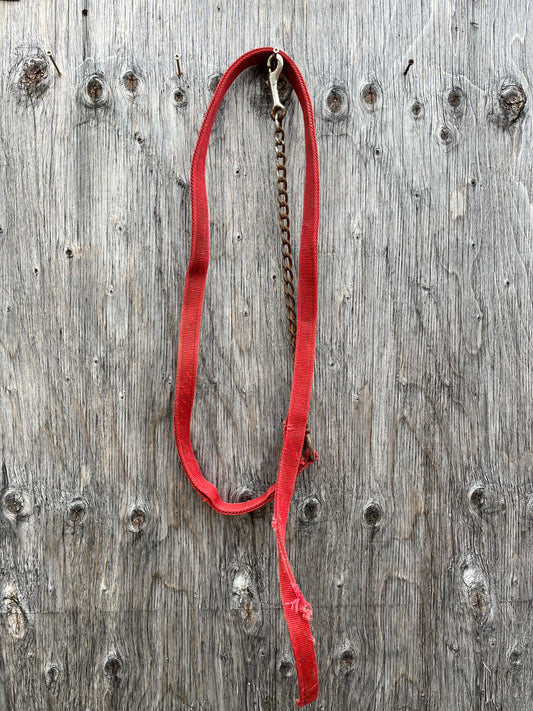 Red nylon lead with chain