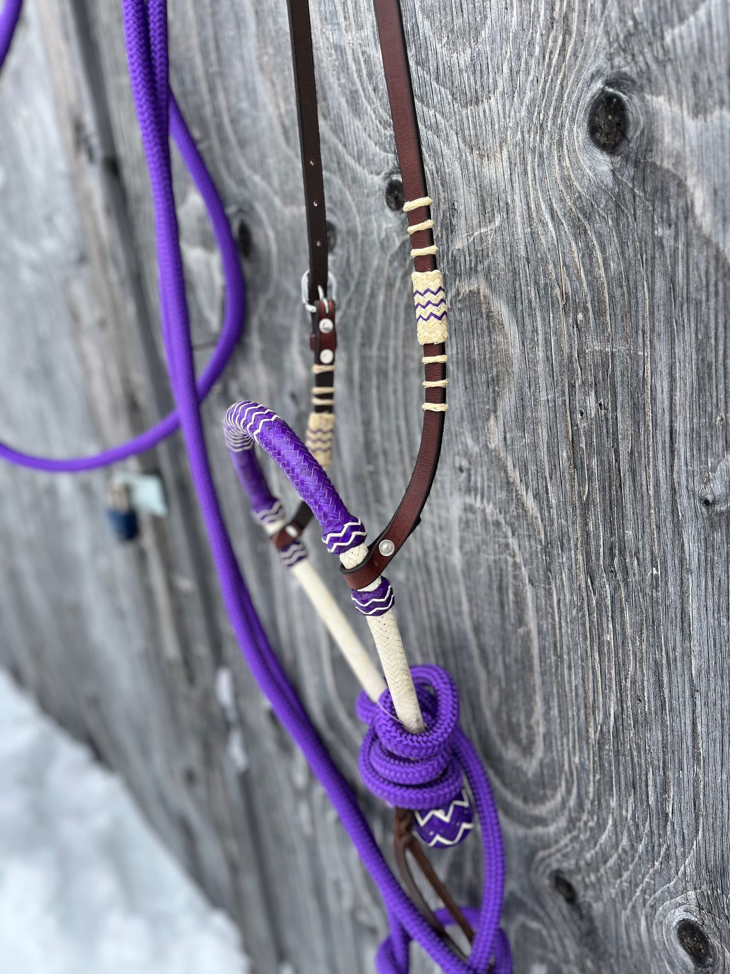 Purple bosal hanger set with mecate