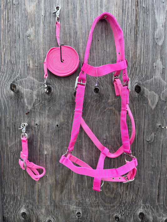 Pink nylon trail halter bridle - removable cheeks so you can use with or without a bit