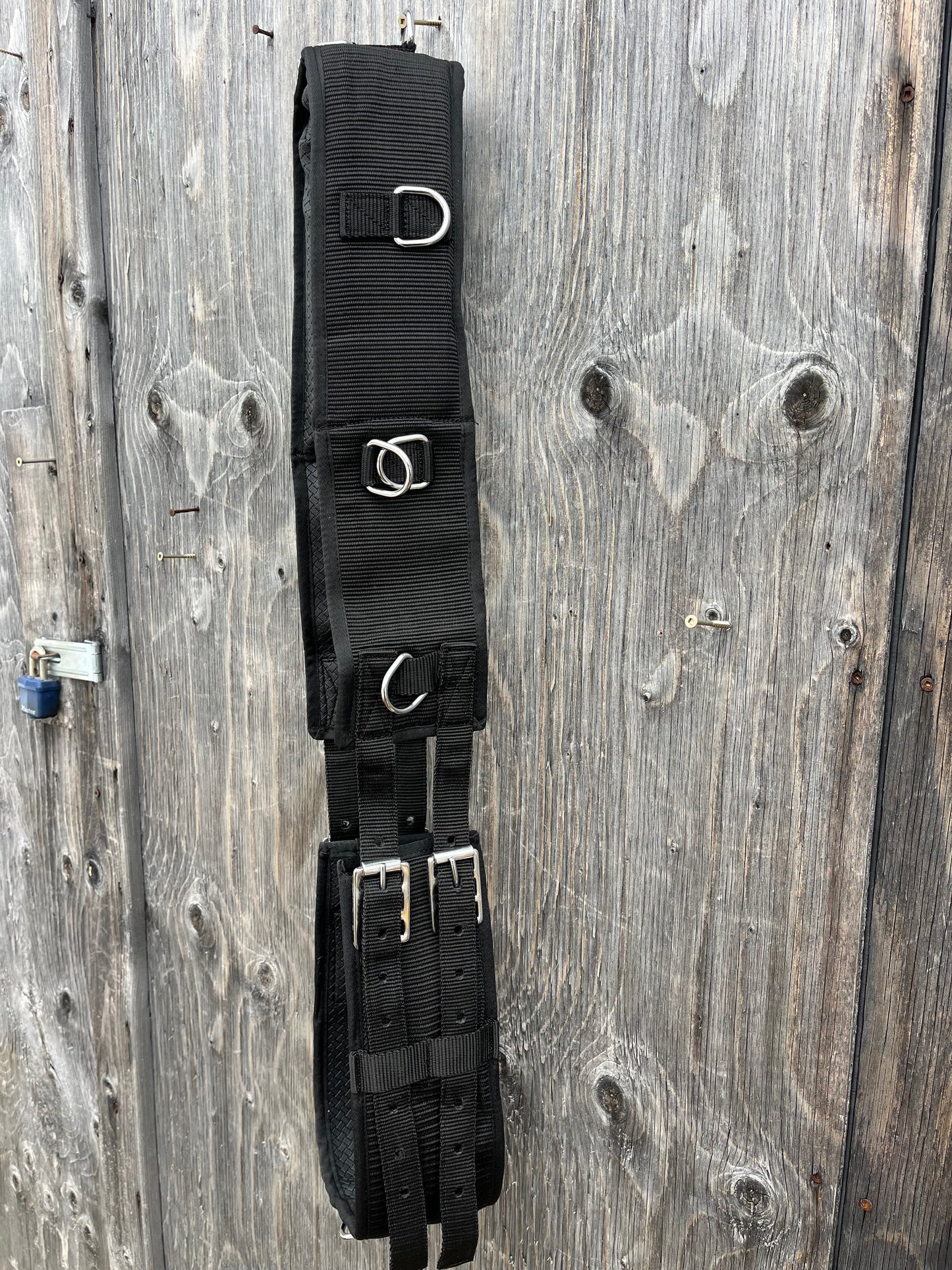 Nylon horse sized surcingle set