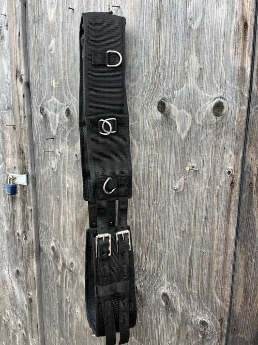 Nylon horse sized surcingle set