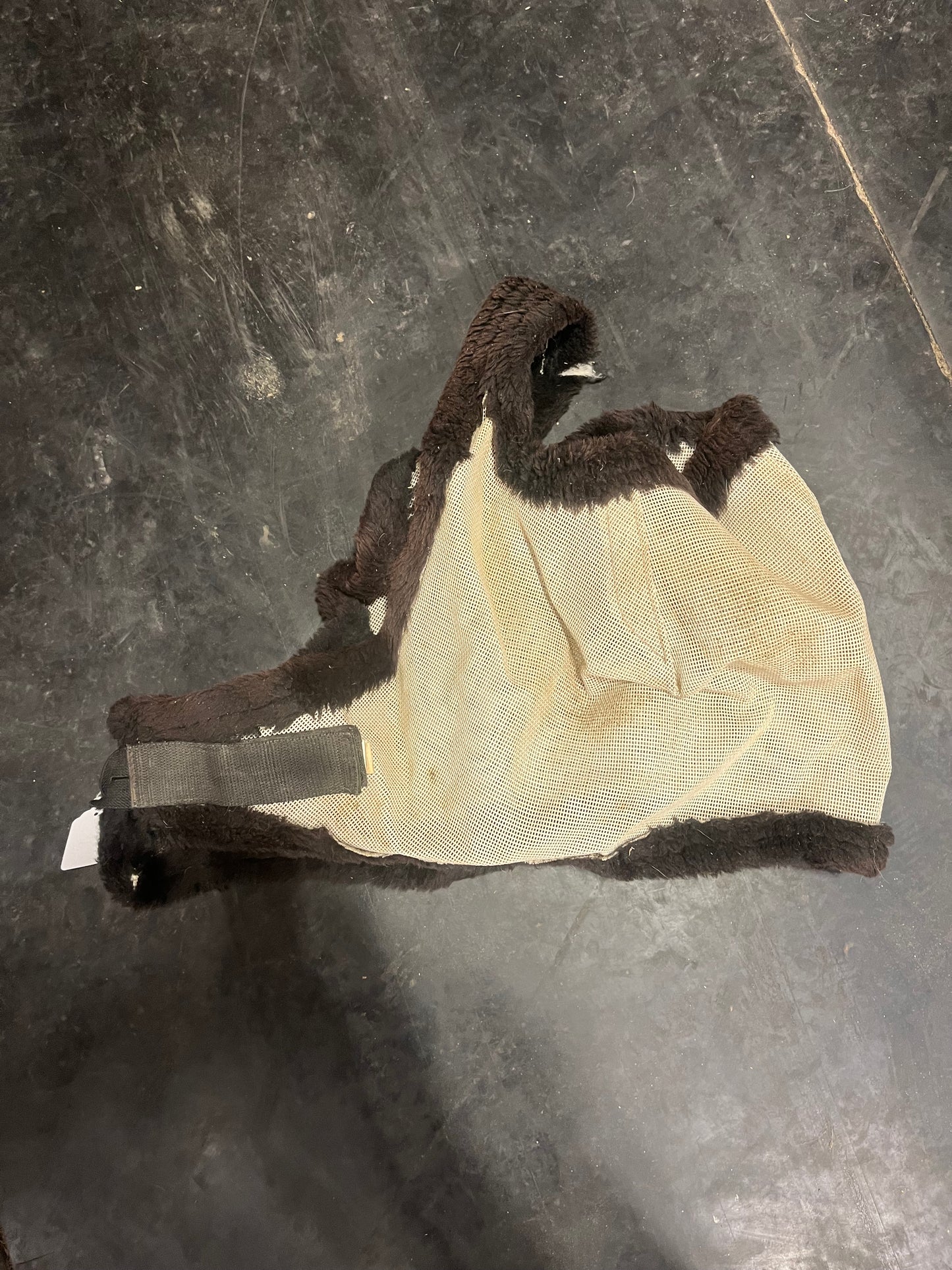 Xl mask
