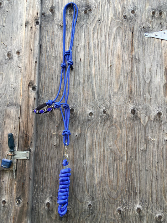 Rope halter with lead