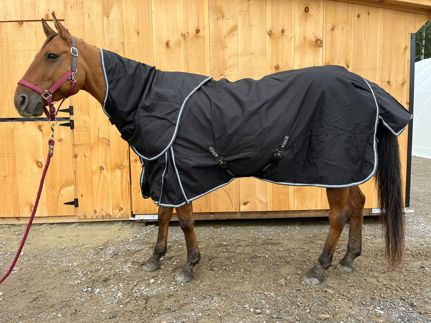 Black 0g Rainsheet with removable hood Asker