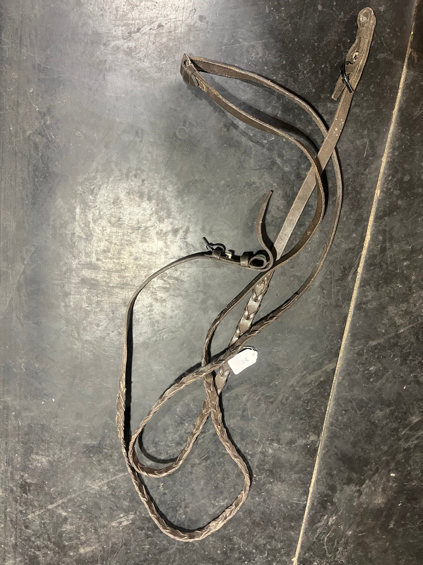 English laced reins
