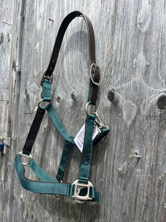 Hunter green padded breakaway halter