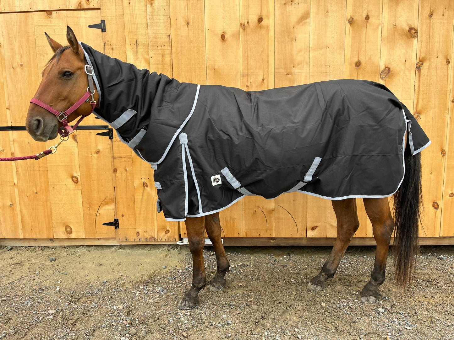 Black 300 gram winter turnout with removable hood