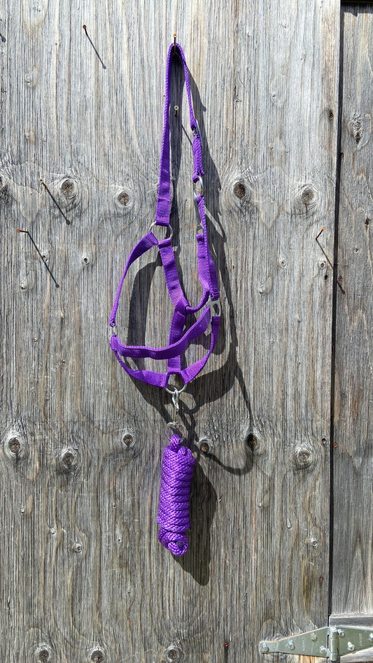 Halters with matching lead 2 colours