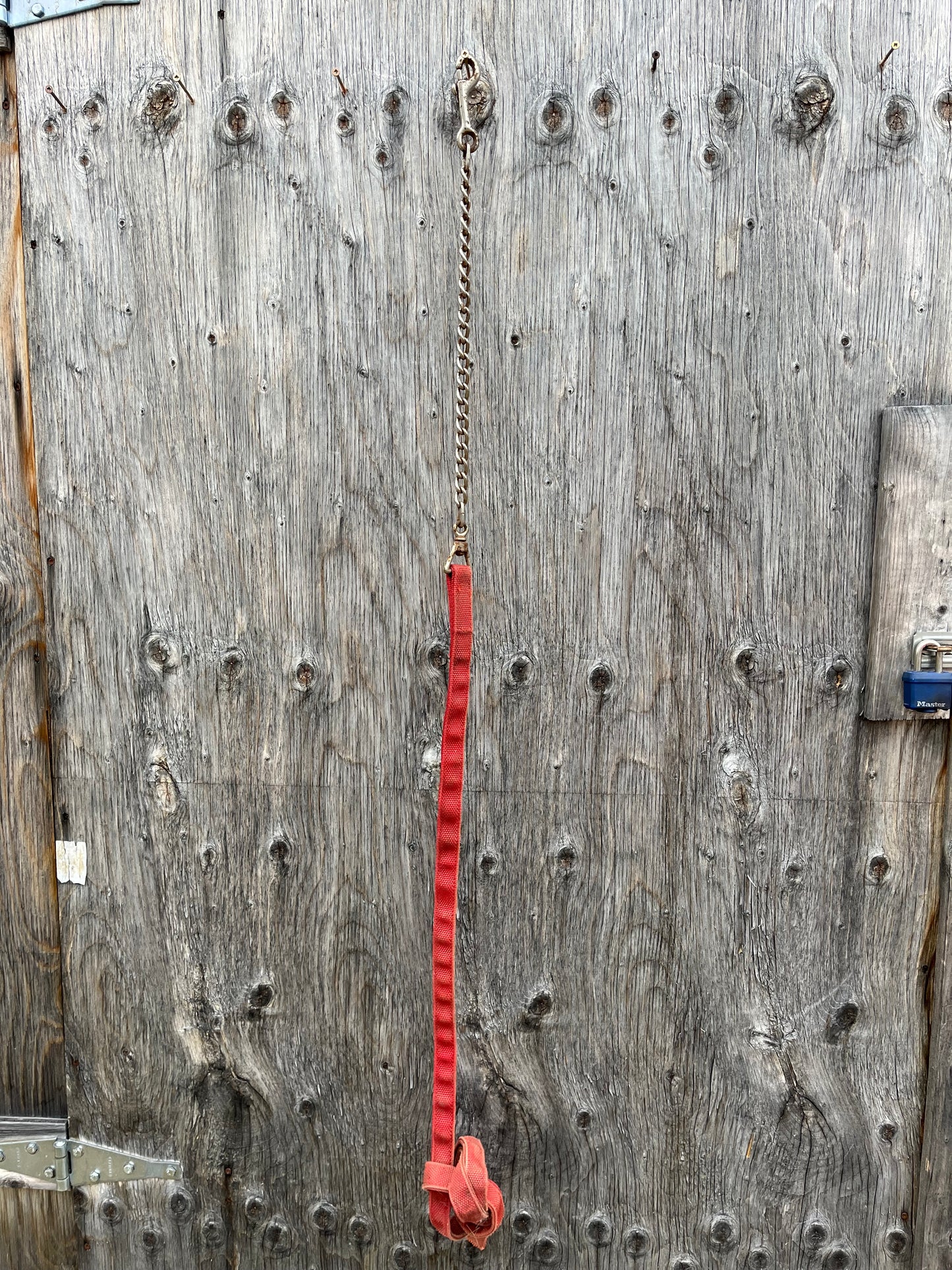 Red nylon lead with chain