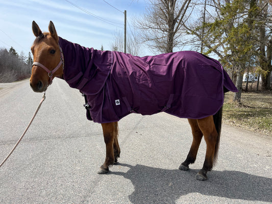 Purple rainsheet with removable hood