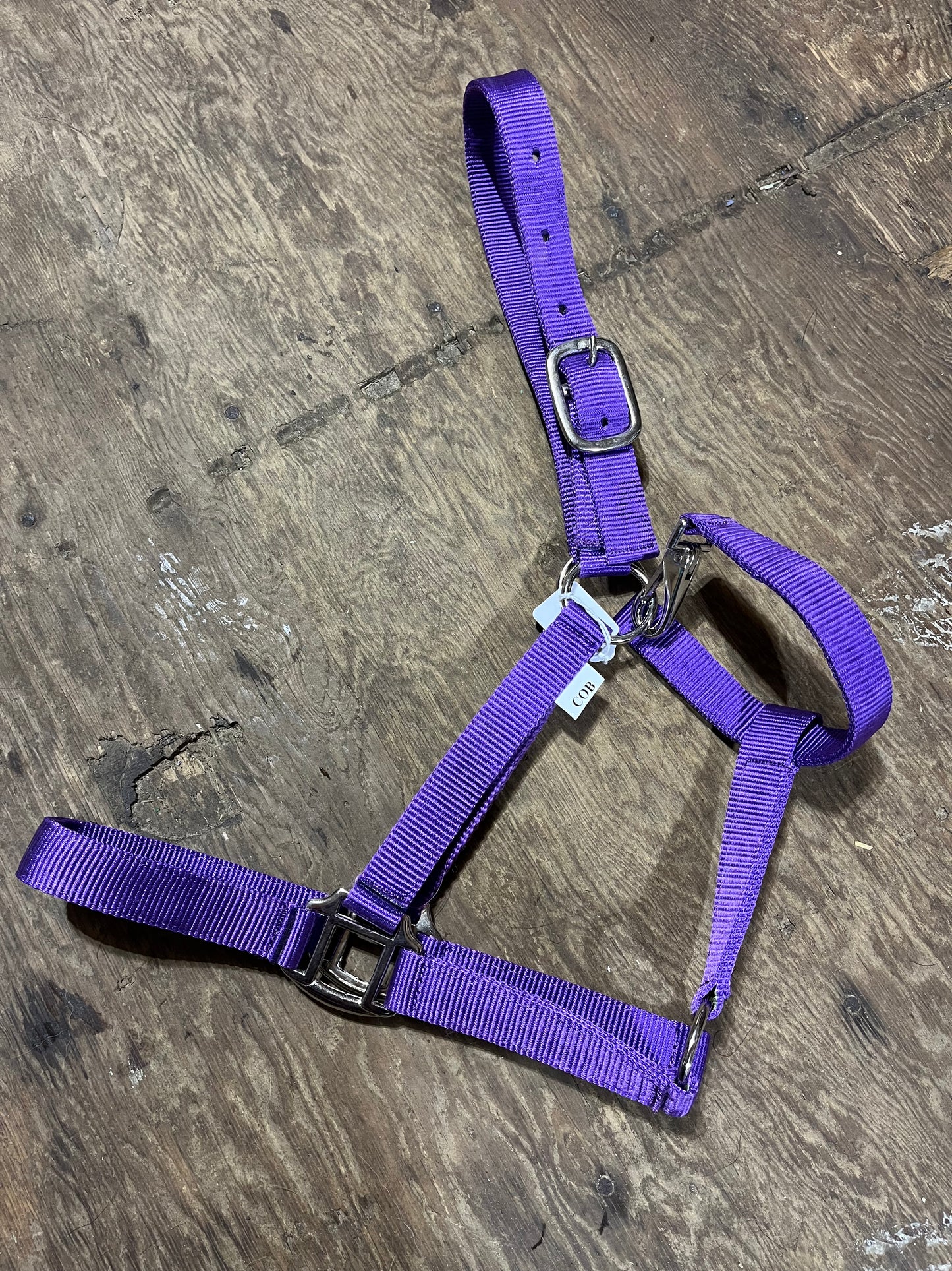 Purple cob halter
