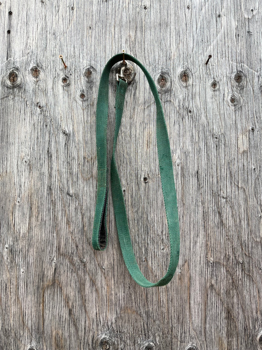 Green nylon lead with small snap