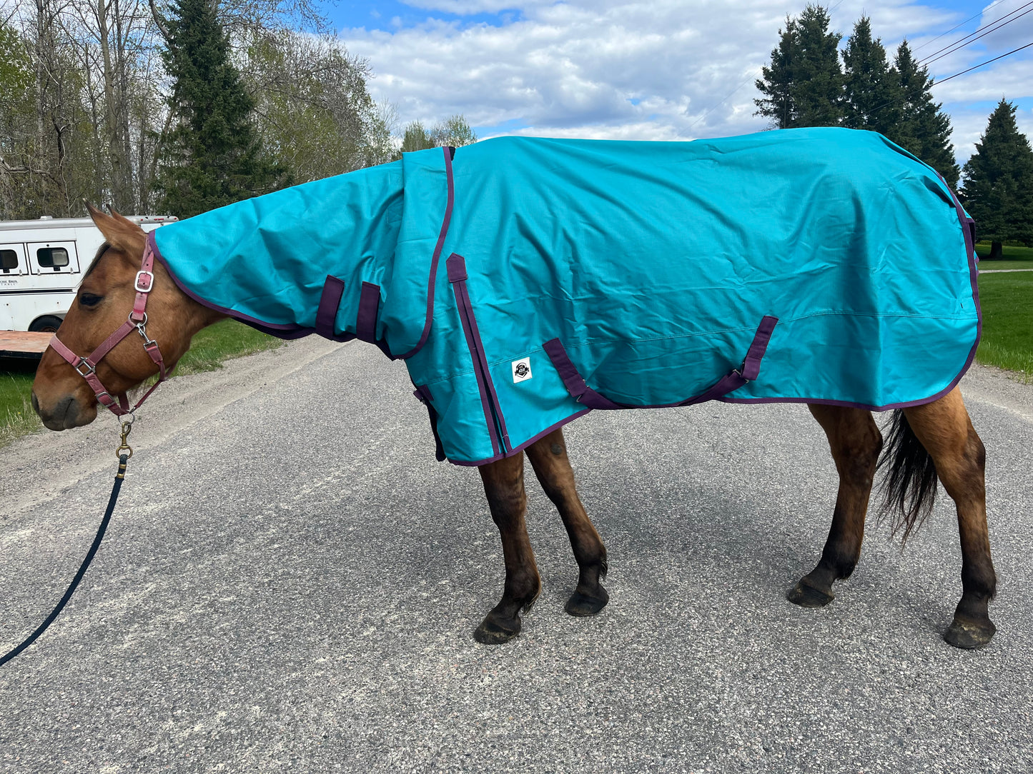 Teal and plum 0 fill 1200 denier rainsheets with hood up to DRAFT