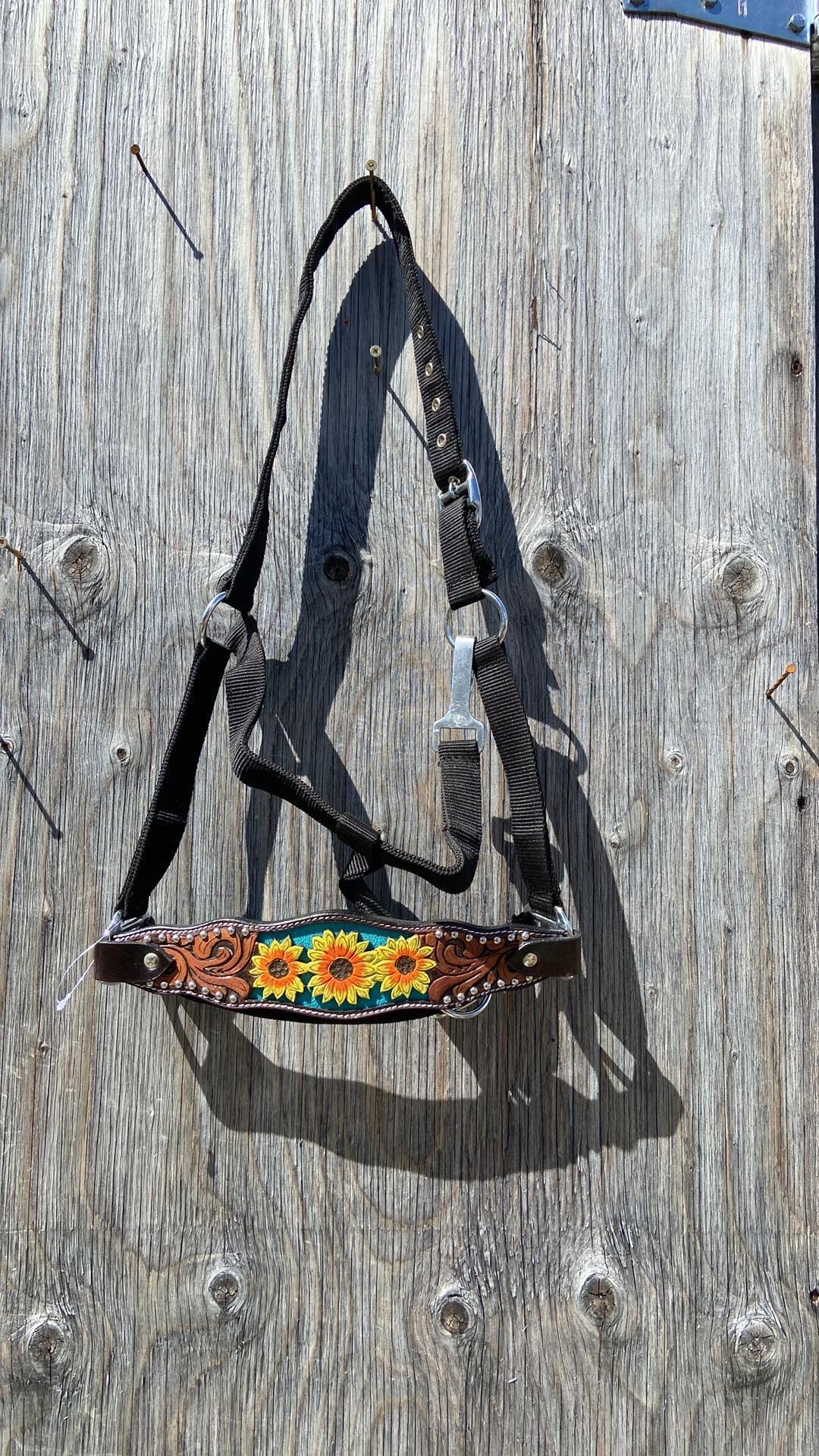 Teal sunflower bronc halter