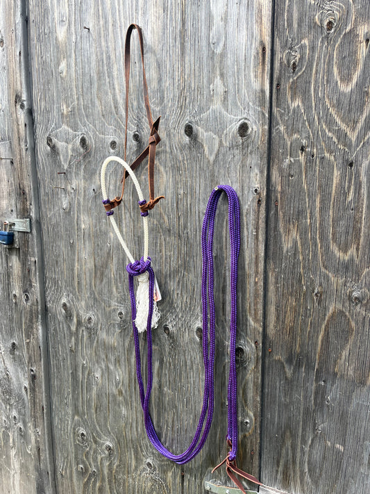 Purple loping hack with split reins