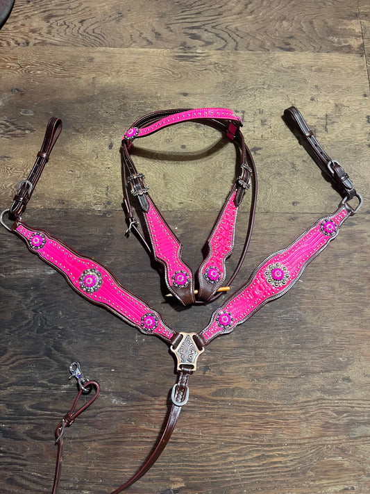 Pink browband tack set